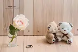 Teddy Day in Valentine Week