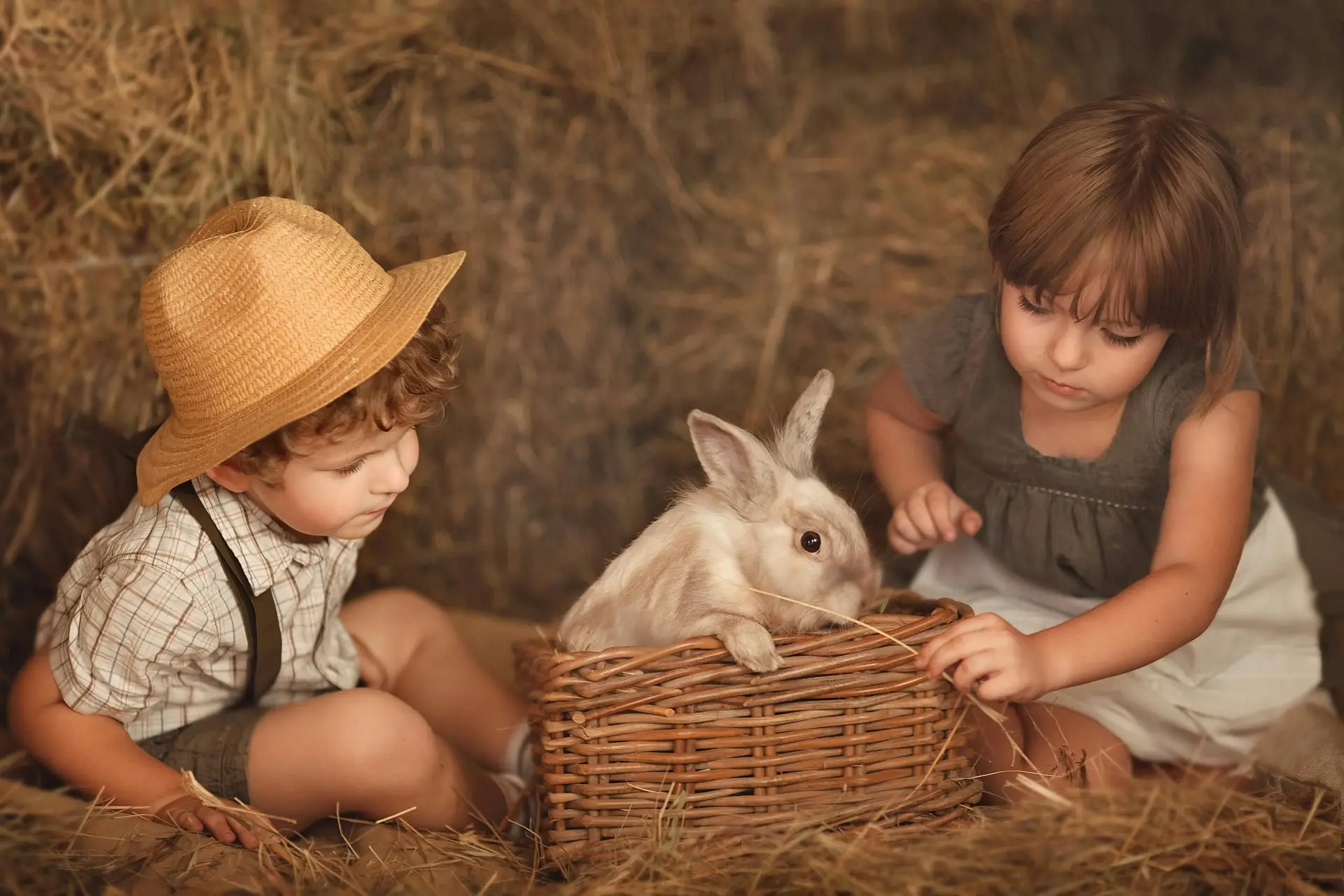 A boy and a girl playing with their pet rabbit in a barn.