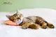 World Sleep Day