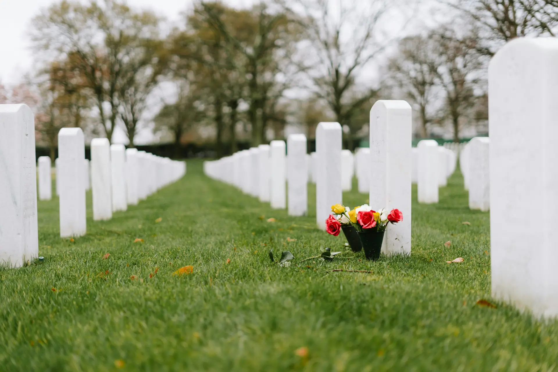 A row of white headstones with flowers in them.
