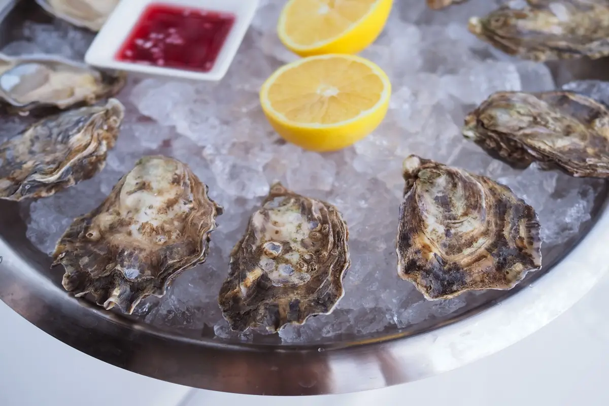 A gourmet seafood platter of fresh oysters served on ice with lemon and sauce.