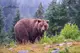 ​National Wildlife Day