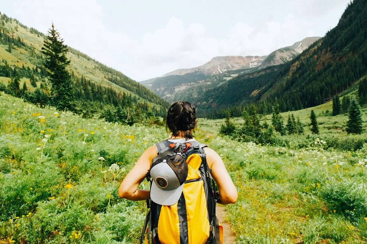 A person carrying yellow and black backpack walking between green plants on the mountain of kentucky.