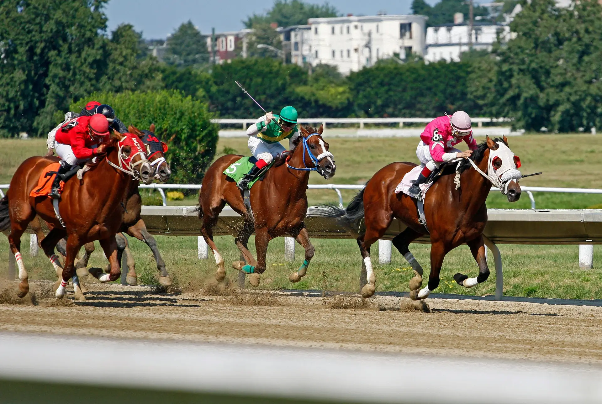 Jockeys riding their horses in a horse race.